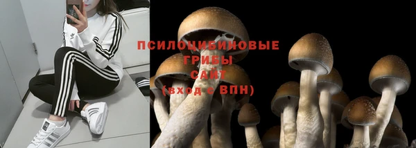 спайс Алзамай
