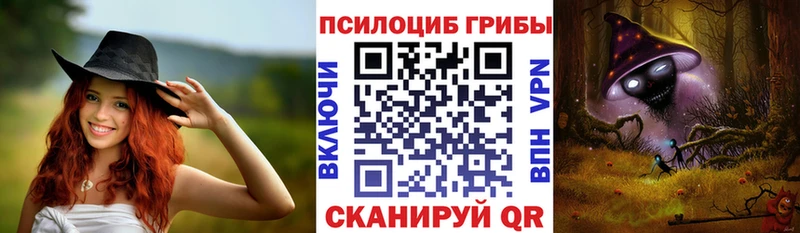 купить наркоту  ОМГ ОМГ tor  Галлюциногенные грибы MAGIC MUSHROOMS  Аргун 